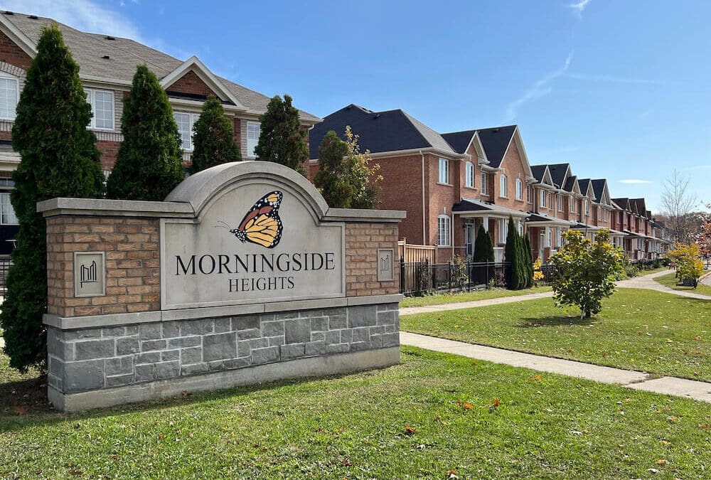 Morningside Heights Scarborough Neighbourhood Guide