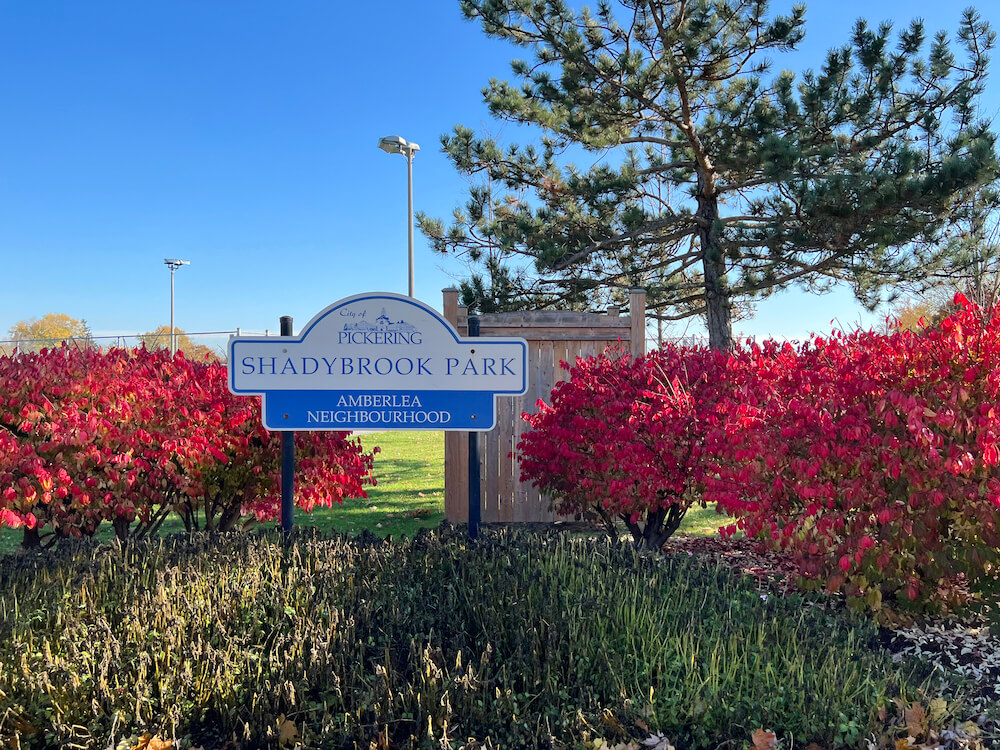 park in Amberlea neighbourhood