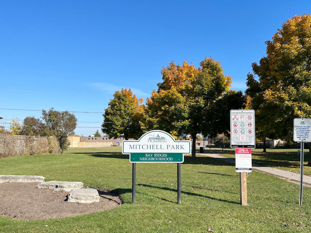 park in Bay Ridges neighbourhood