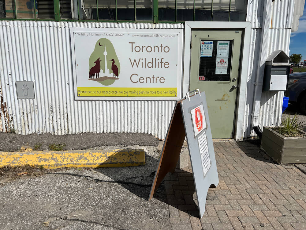 Toronto Wildlife Centre in Downsview neighbourhood