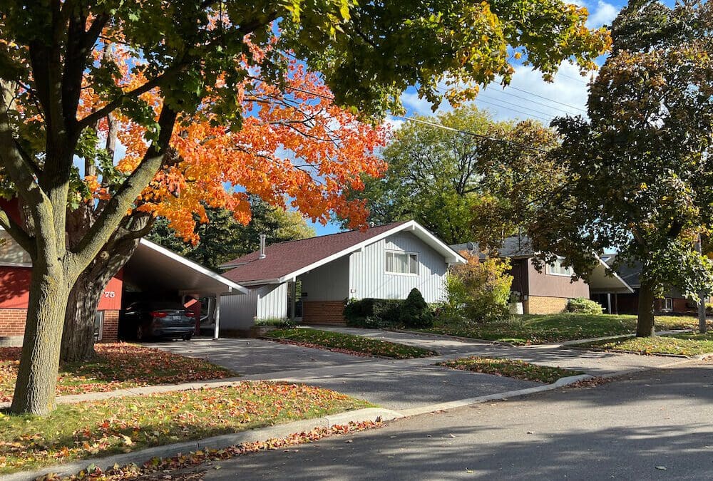 Dorset Park Scarborough Neighbourhood Guide