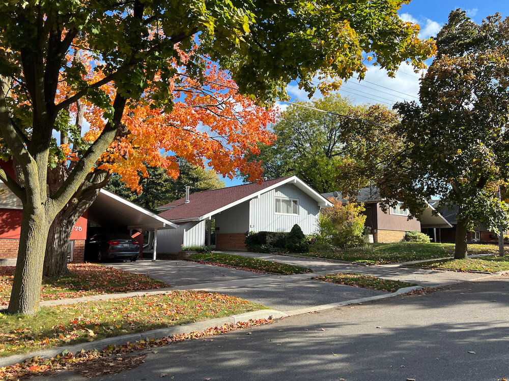 home in Dorset Park neighbourhood