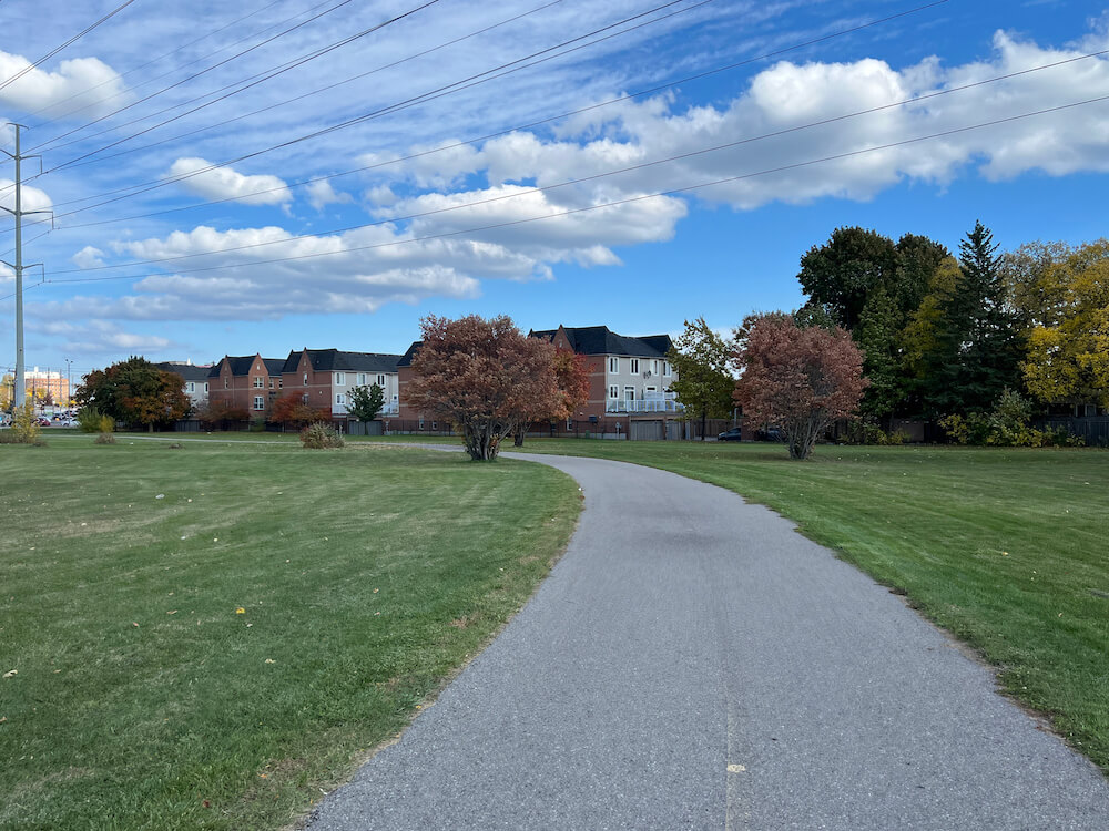 park in Dorset Park neighbourhood