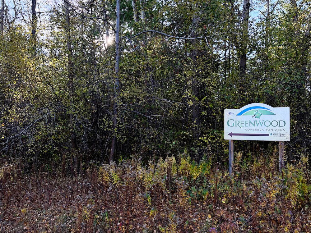 Greenwood Conservation Area