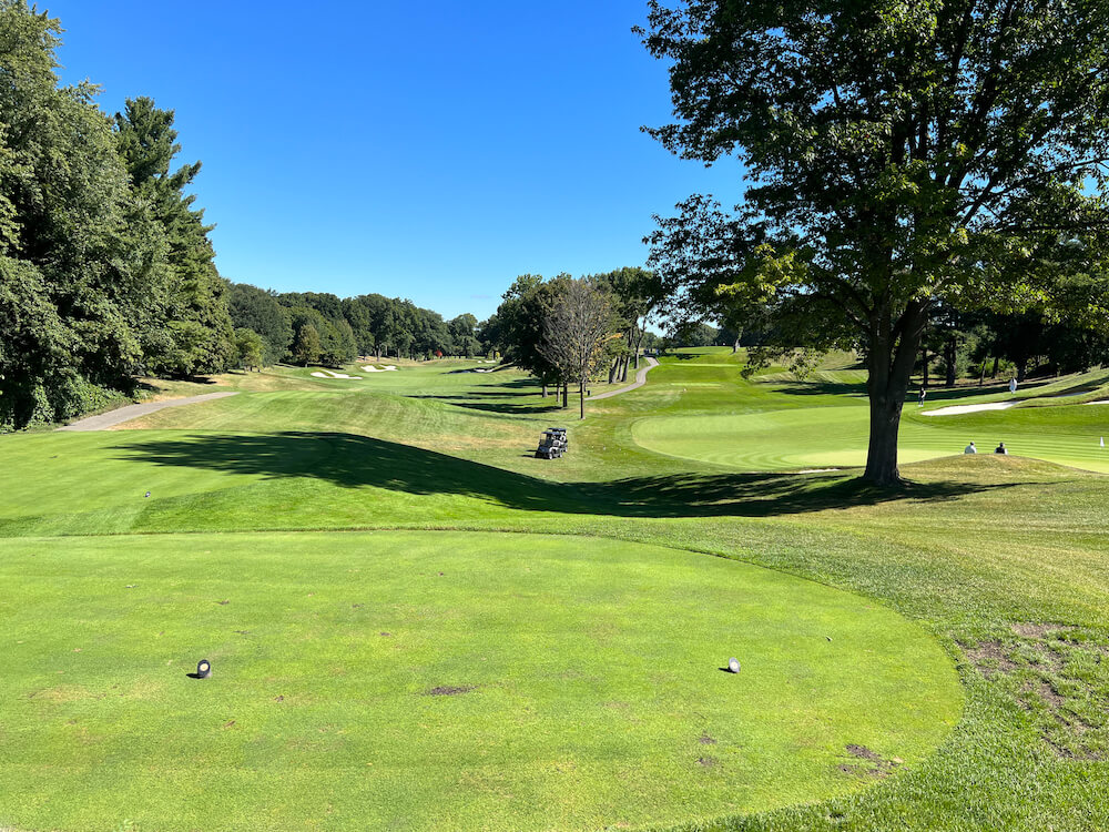 Golf course in Humber Valley neighbourhood