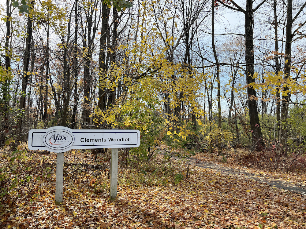 park in Pickering Beach neighbourhood