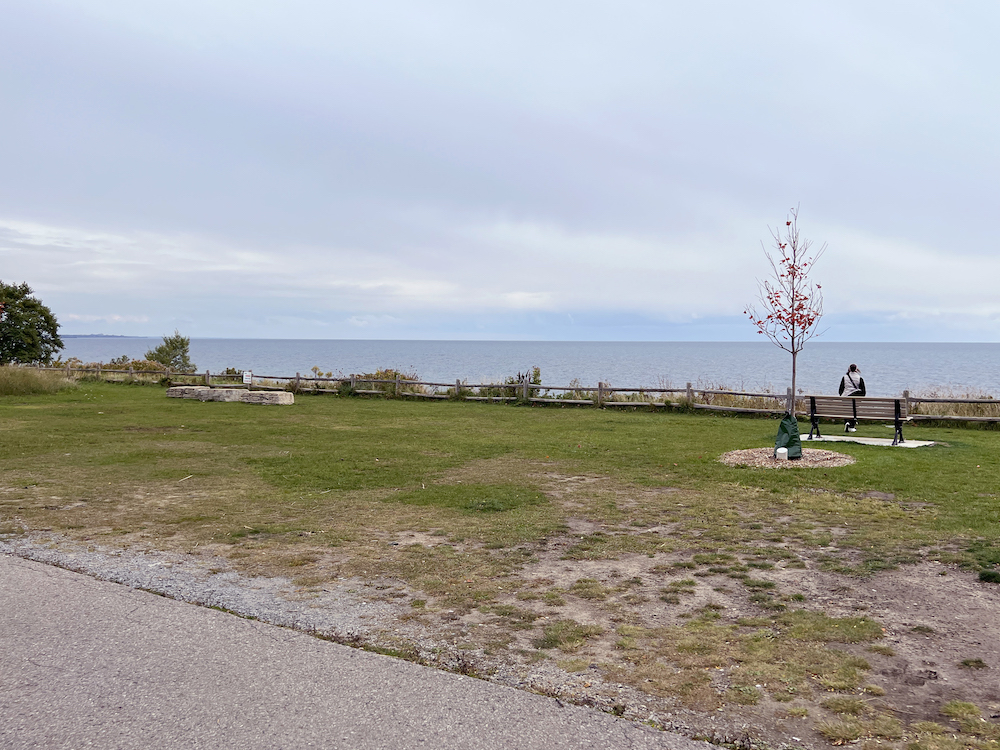 beach in Rouge Hill neighbourhood