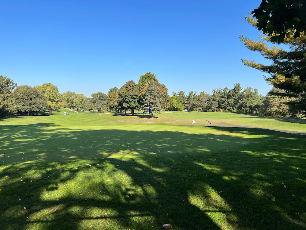 Golf in The Elms neighbourhood