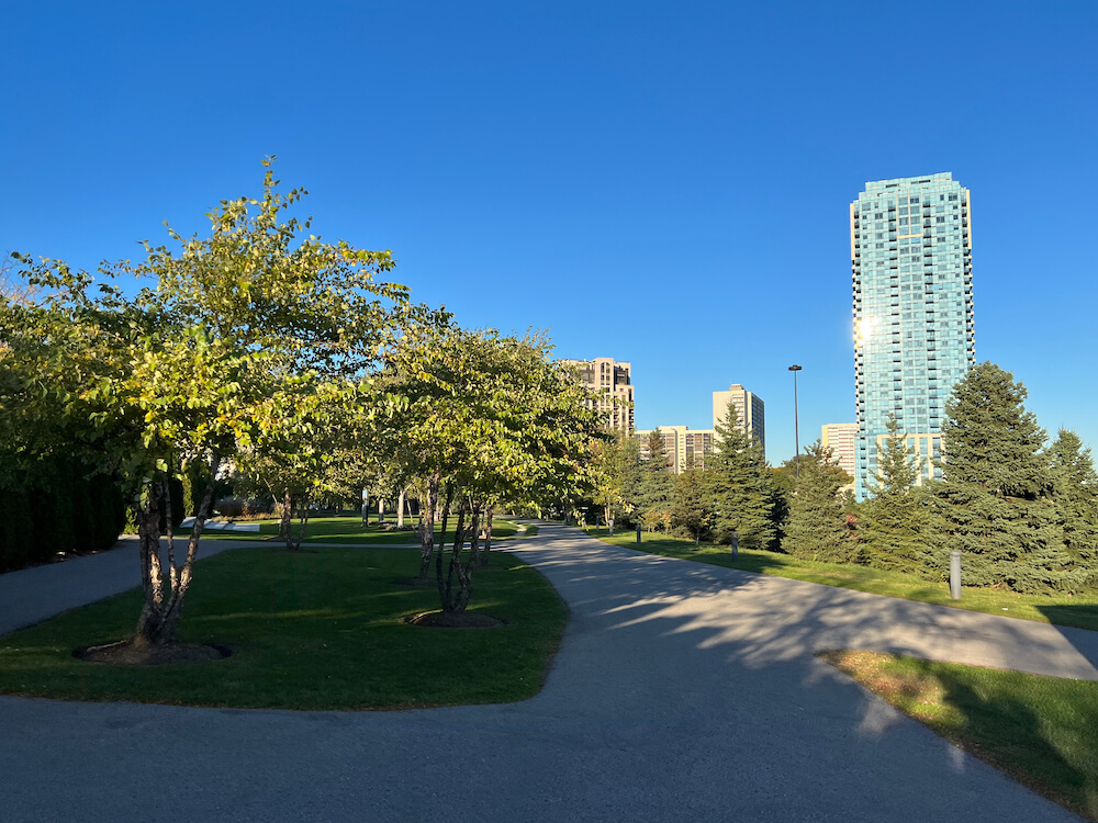 park in Victoria Park Village neighbourhood