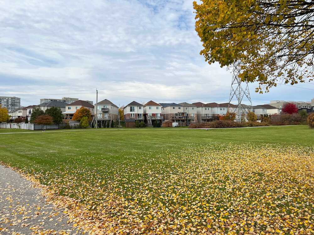 Pickering Town Centre neighbourhood