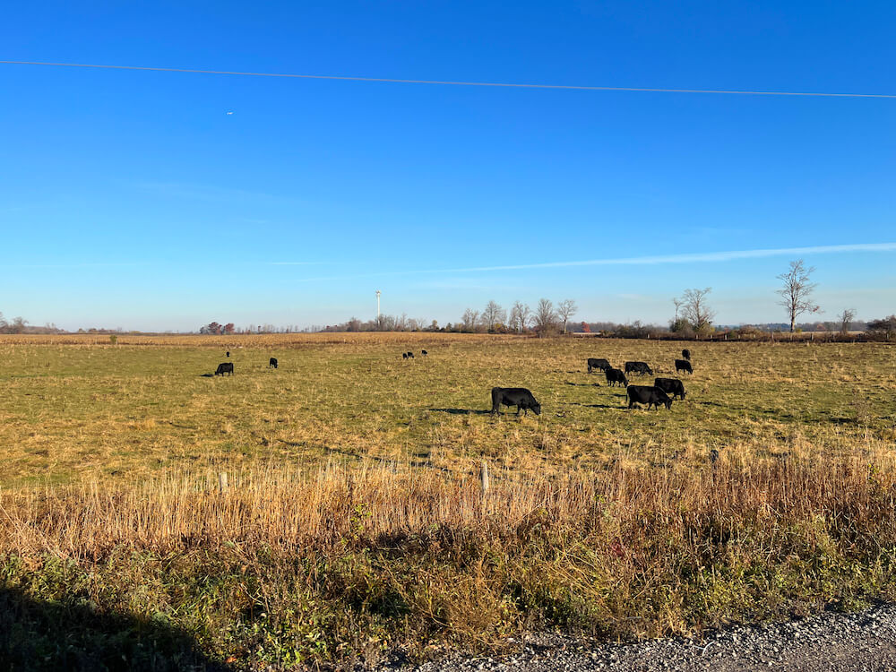 countryside in Rural Pickering neighbourhood