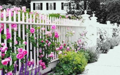 3 Ways to Improve Your Home’s Curb Appeal This Fall
