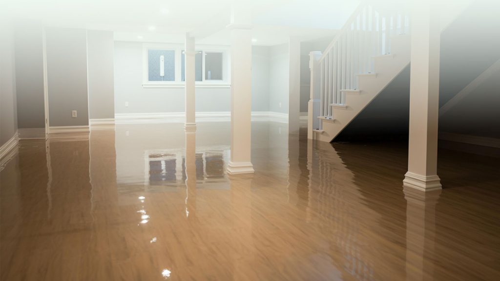 Dealing with a wet basement? Here are 5 things you need to know about waterproofing your basement.