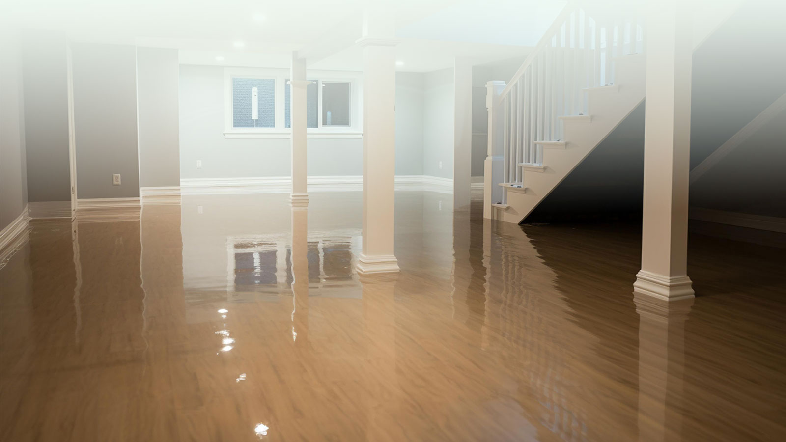 Dealing with a wet basement? Here are 5 things you need to know about waterproofing your basement.