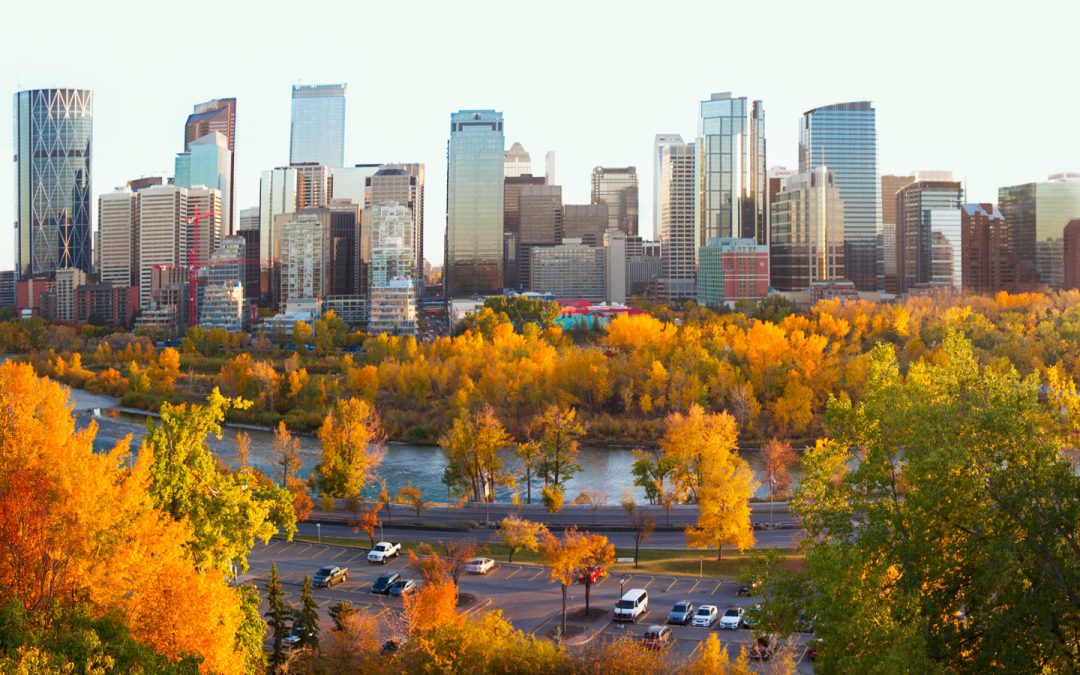 Overbidding Competition on Calgary Homes Plunges but Prices Remain Stable