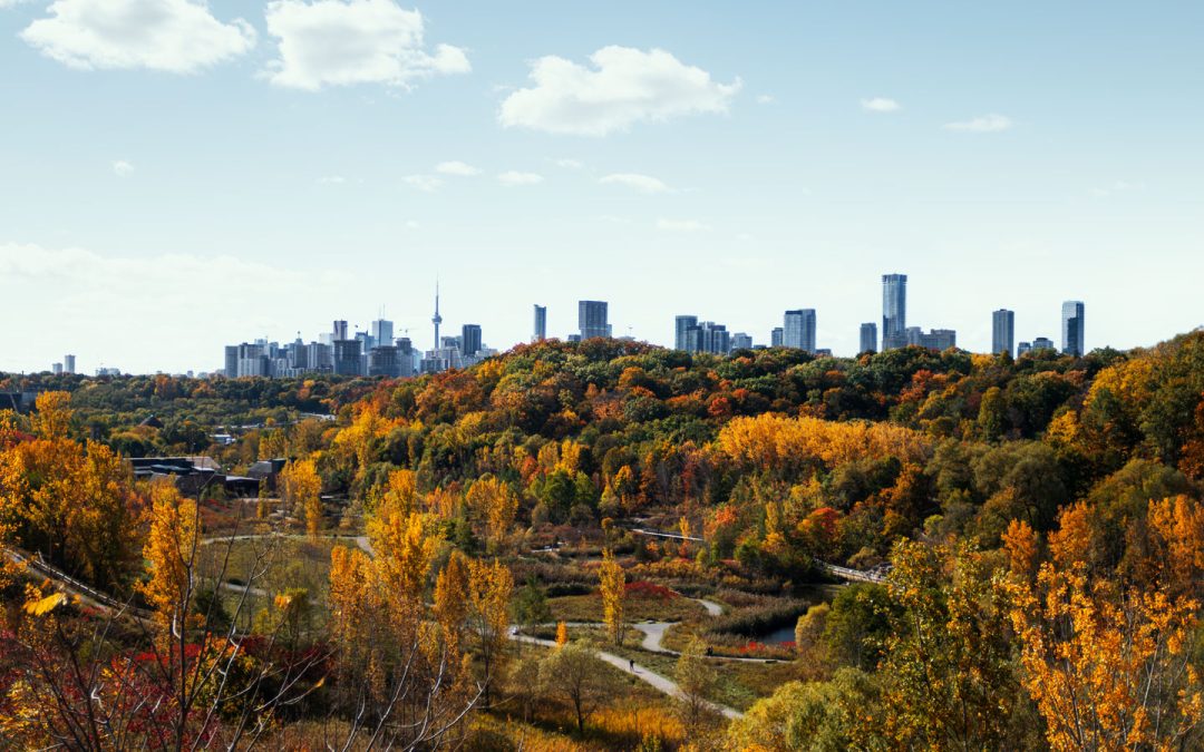 GTA Housing Market Sees First Rise in Overbidding Since March