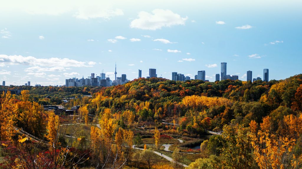 Fall market update