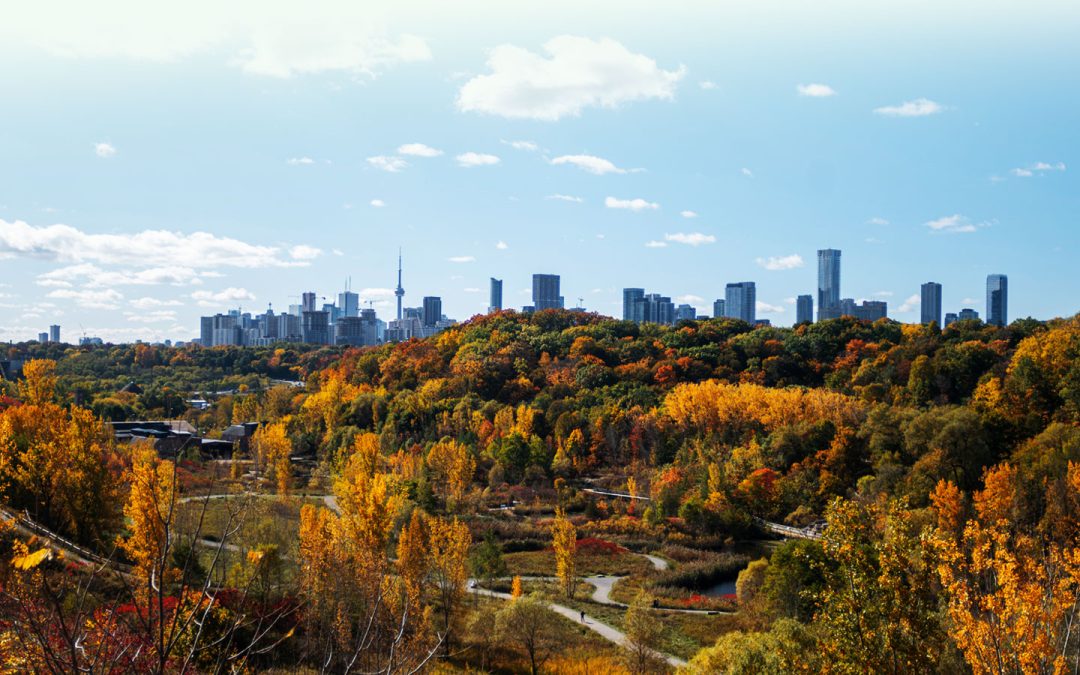 What’s Going on With the 2025 Fall Canadian Housing Market?