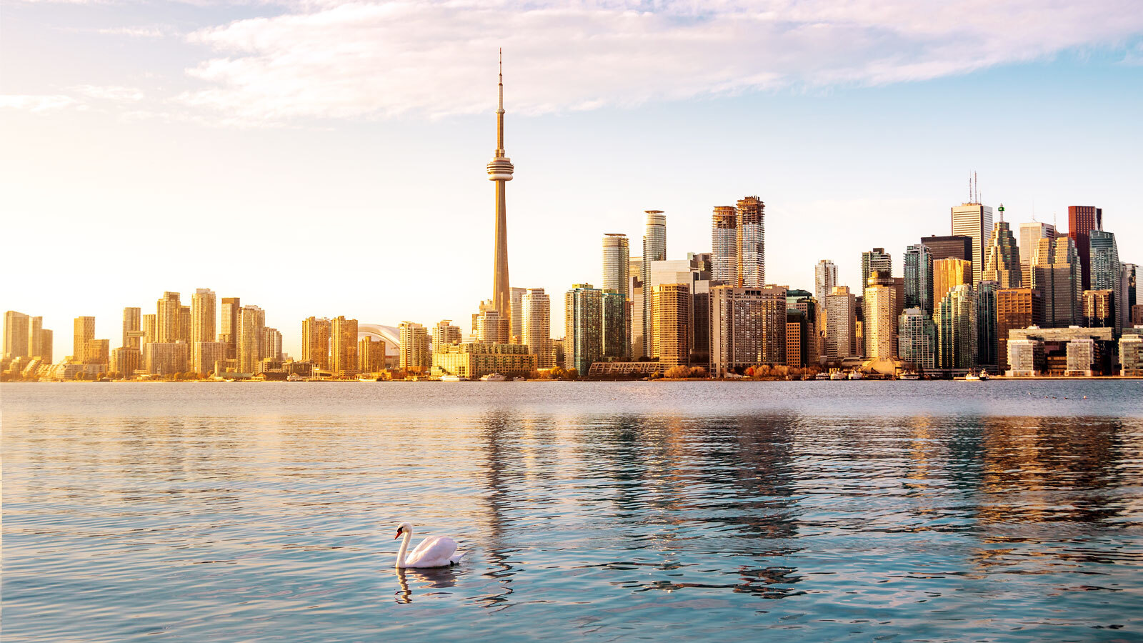 An image of Toronto in the fall, as seen from Centre Island