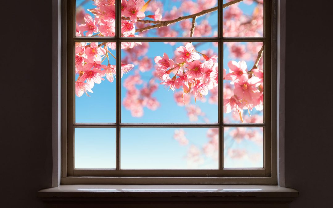Canadian Homes for Sale Where You Can Watch the Cherry Blossoms