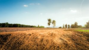 Buying Land as an Investment: Is it Worth it?