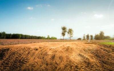 Buying Land as an Investment: Is it Worth it?