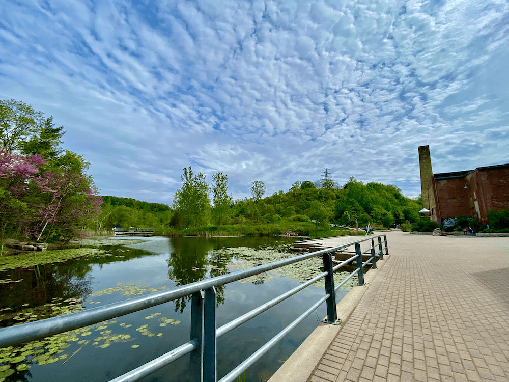 moore park trail