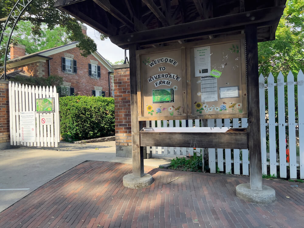 riverdale farm cabbagetown