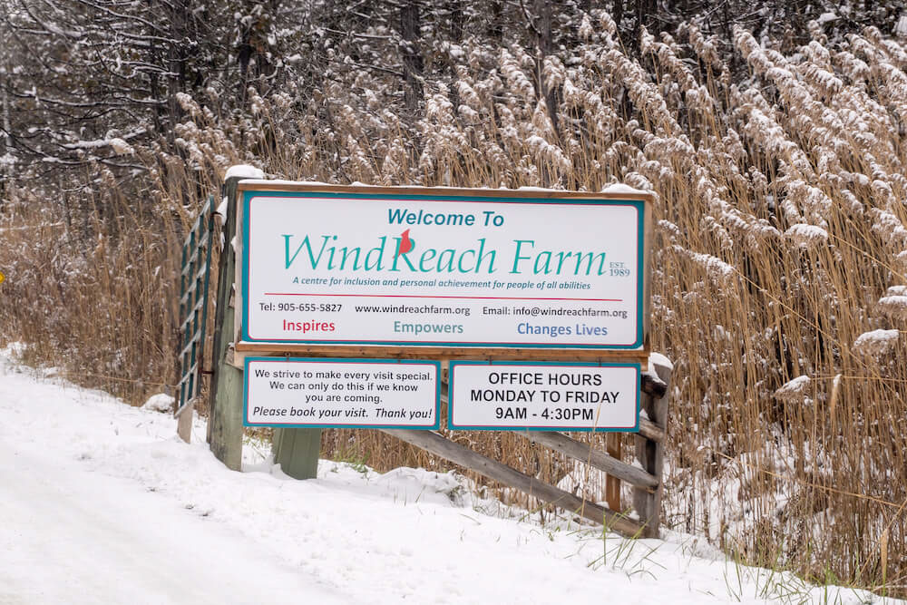 windreach farm whitby