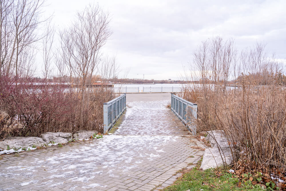 whitby shores